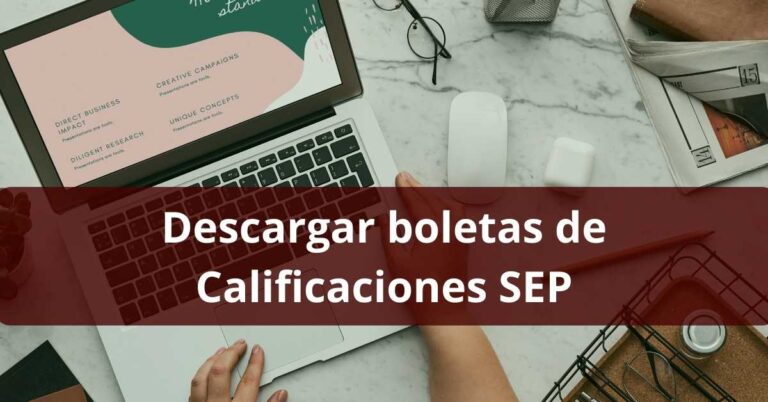 Descargar boletas de calificaciones SEP 2024: Cómo bajar e imprimir la ...