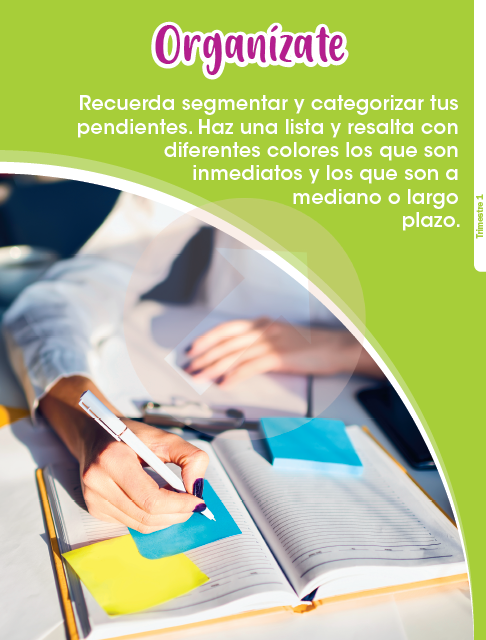 Planeaciones de Tercer Grado de Primaria (Primero, Segundo y Tercer Trimestre) – Descargar en PDF (2023)